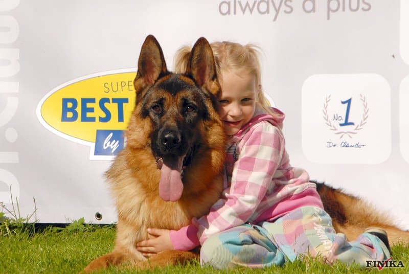 cute little girl with german shepherd in hug