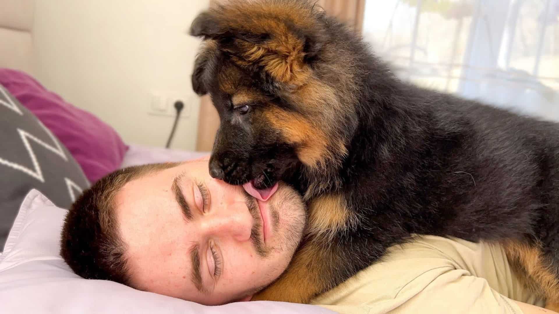 Cute Pup Discovers His True Calling And Becomes An Alarm Clock