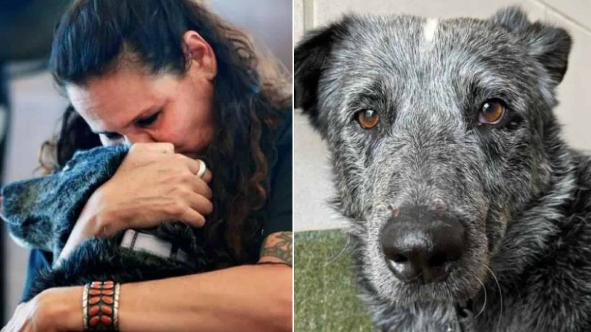 Deaf Dog Lost For A Year In Santa Fe Returns To His Family