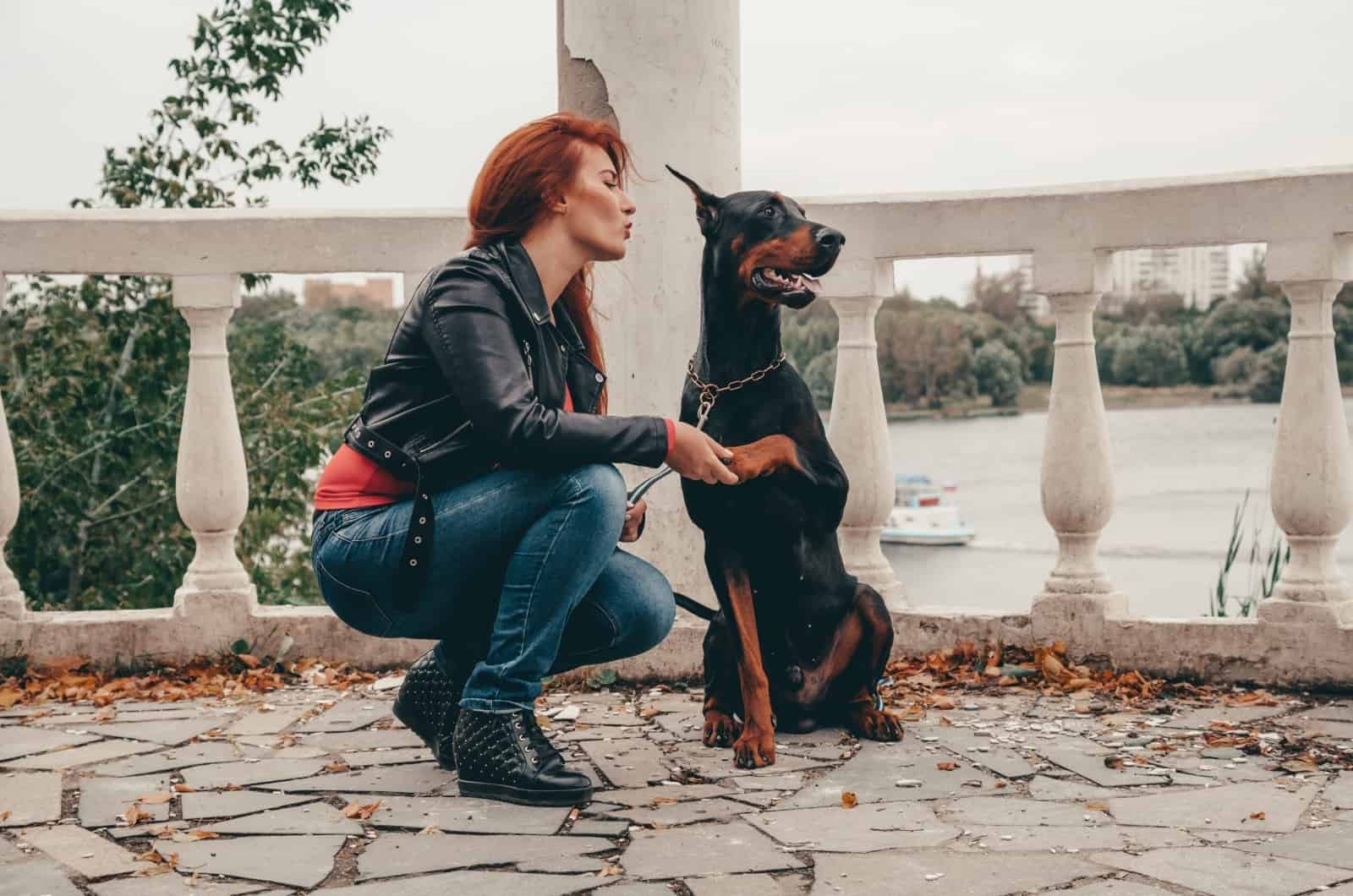 Doberman standing by woman