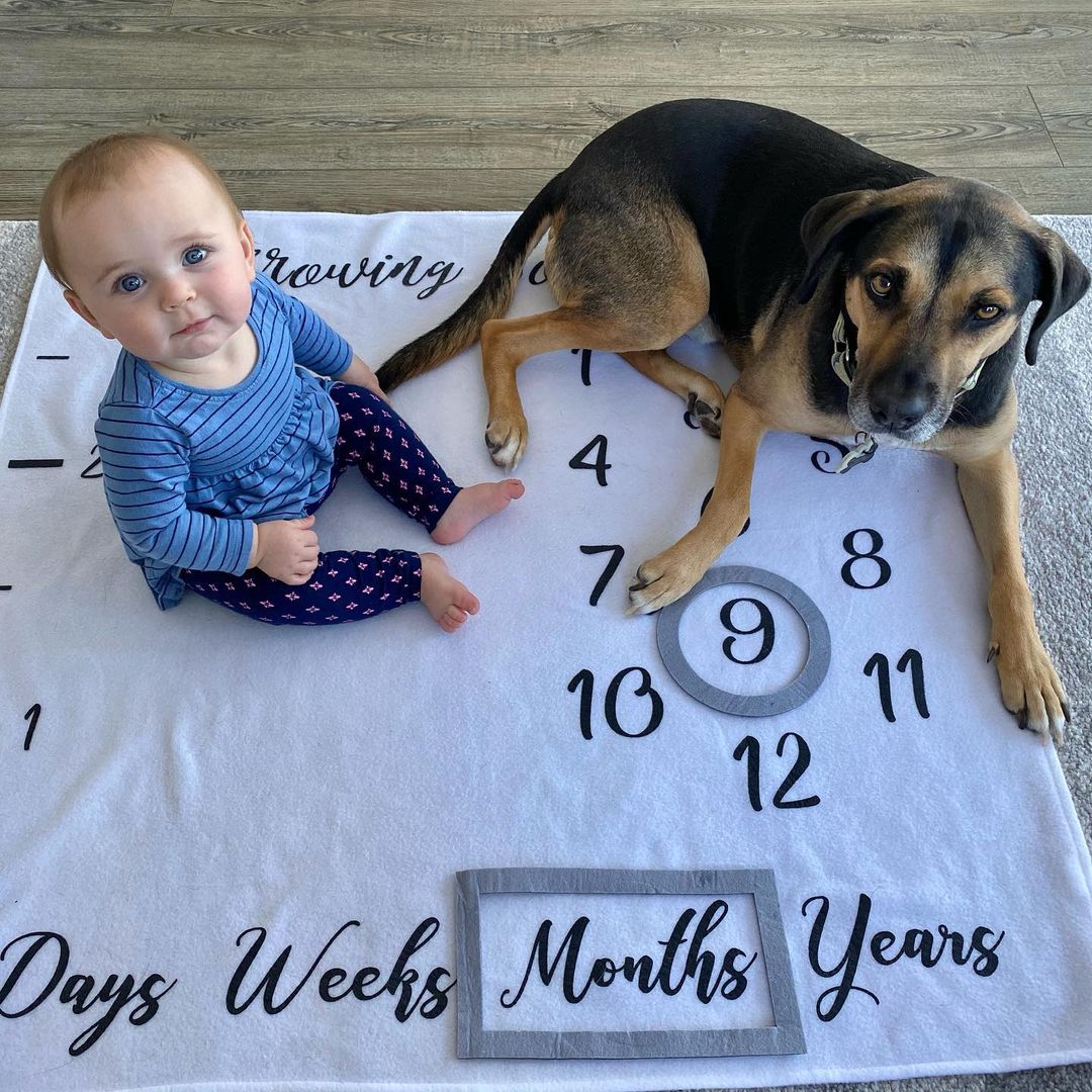 dog and baby sitting together