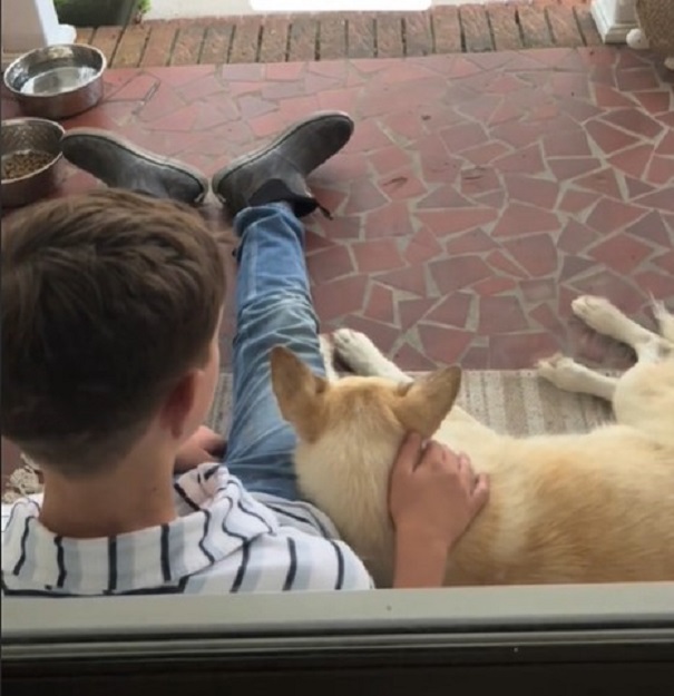 dog and boy sitting on the ground