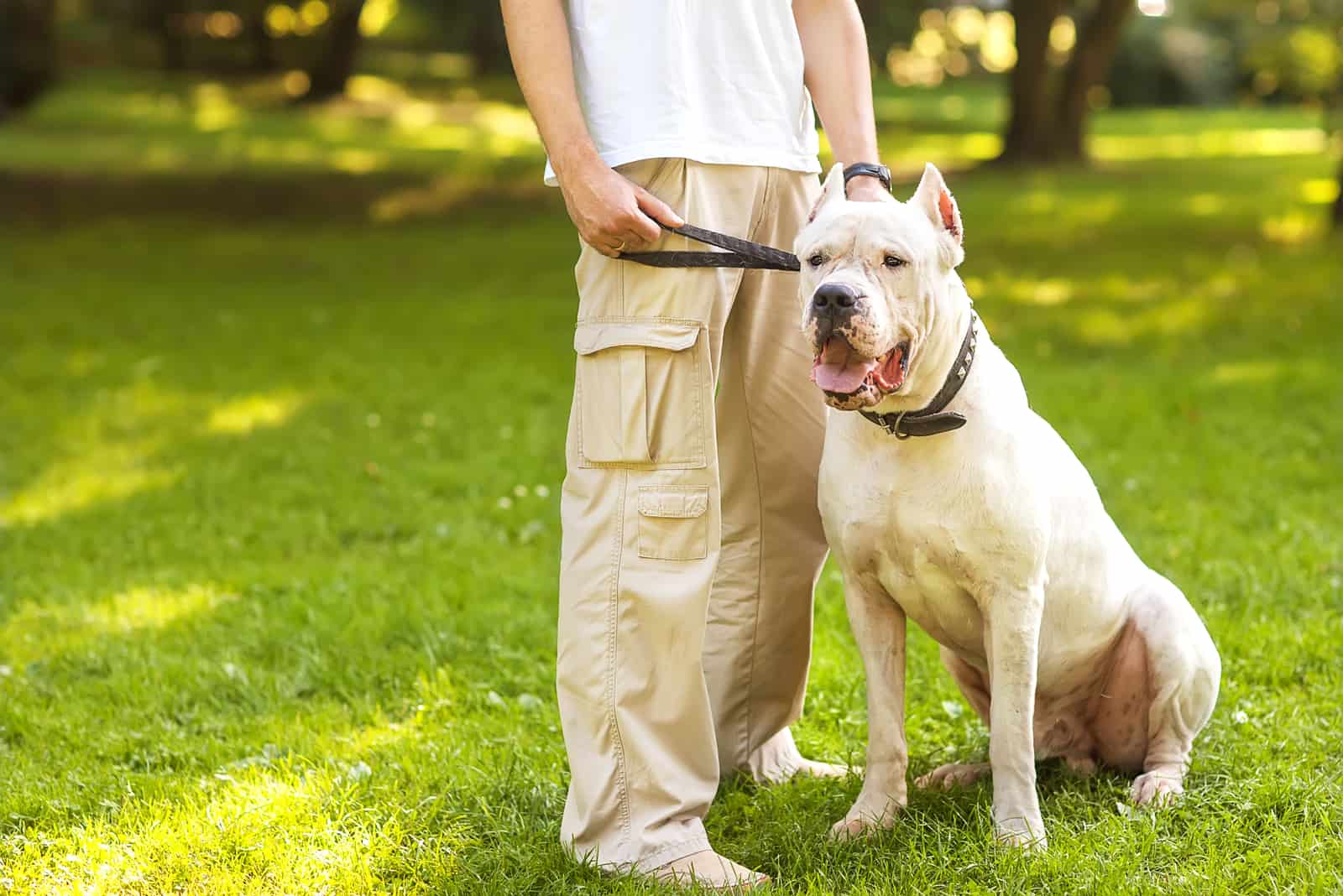 dog and dogo argentino breeders standing outside