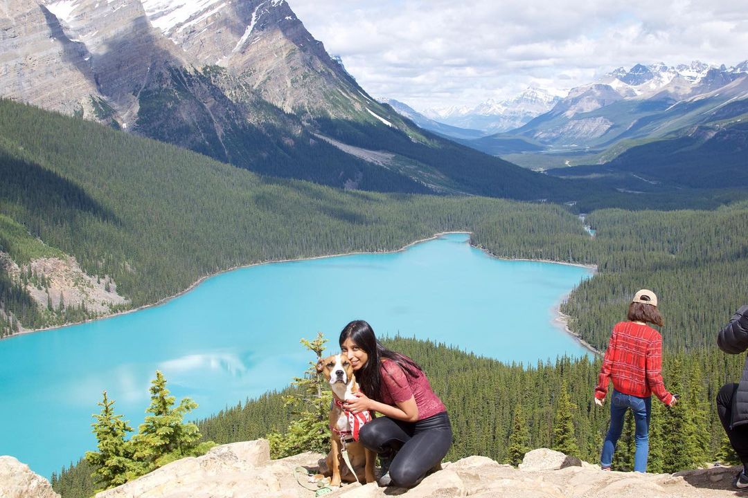 dog and girl on a hill