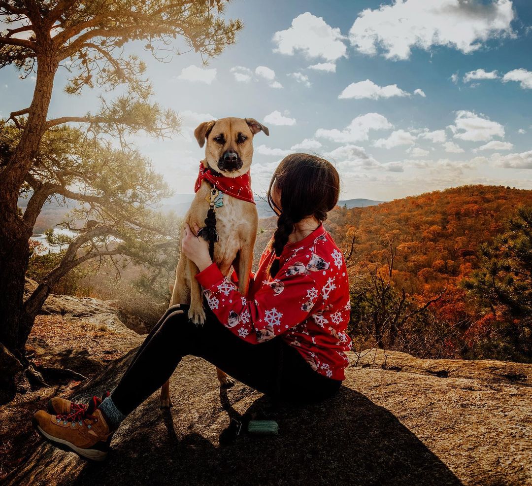 dog and girl playing together