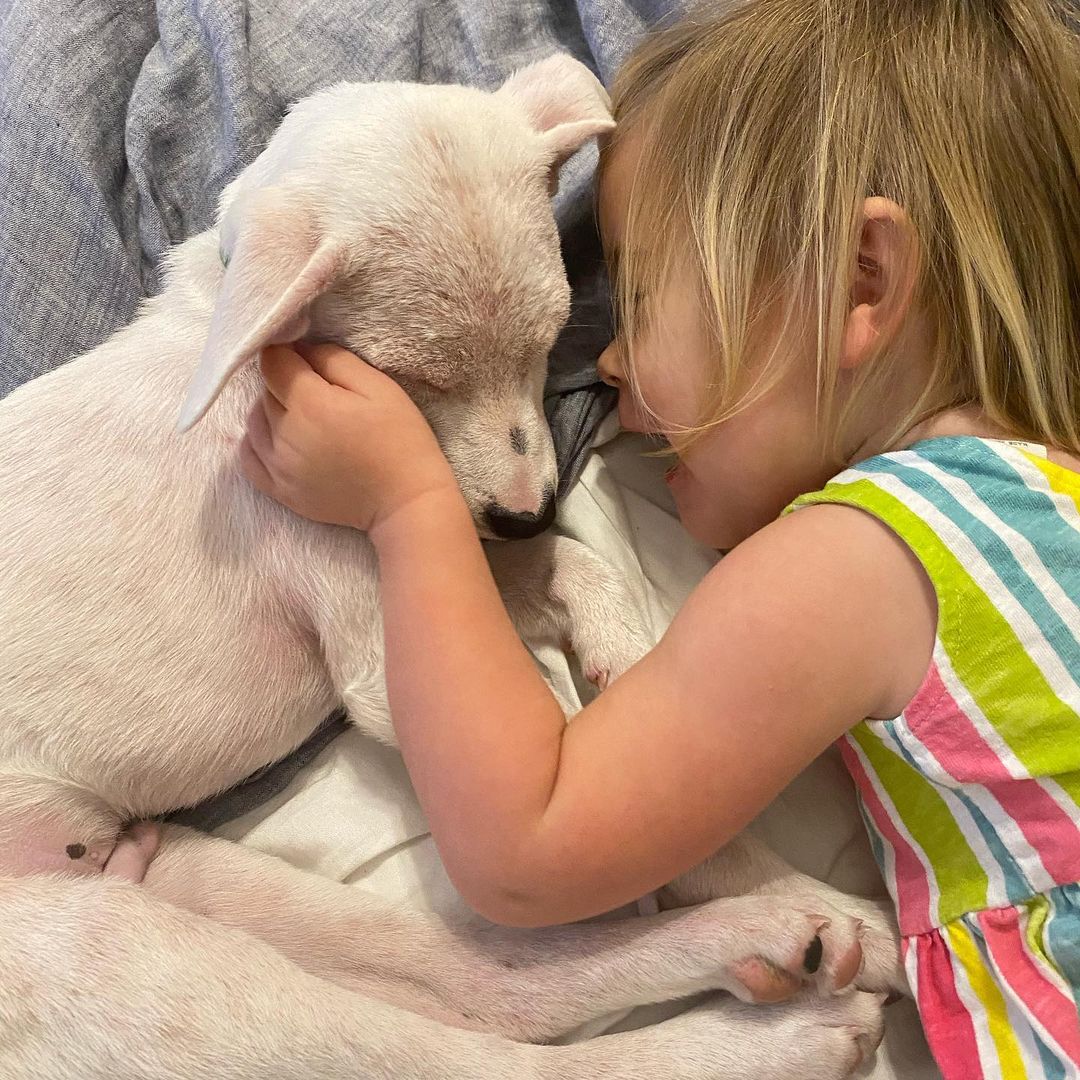 dog and girl sleeping next to each other