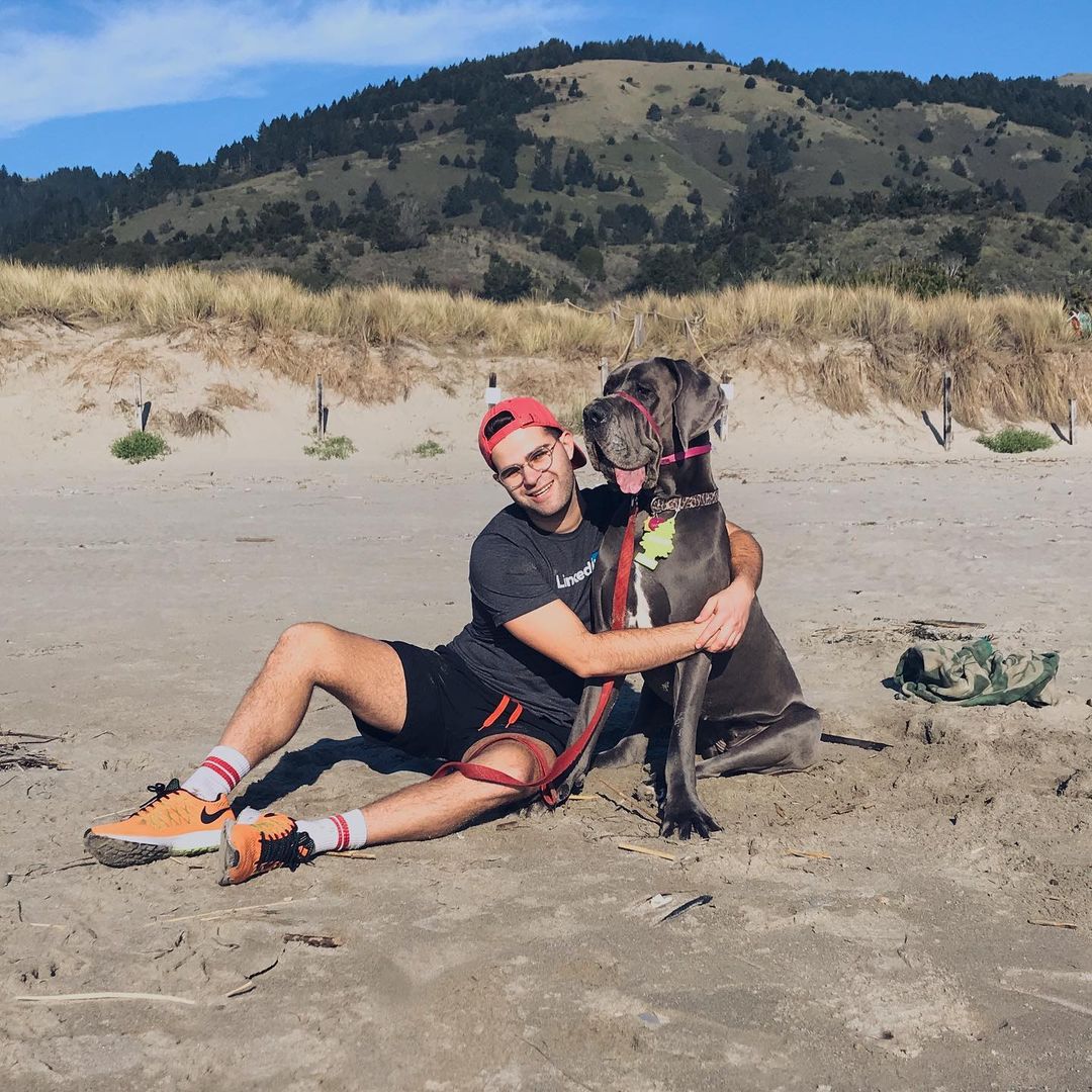 a large great dane and a guy hugging him and sitting on a sandy beach