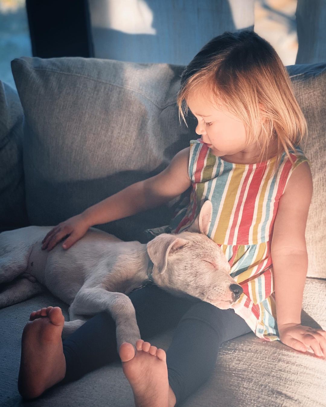 little white puppy sleeping on a little girl