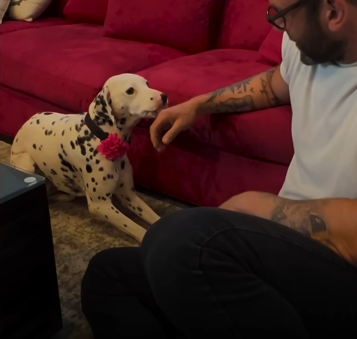 dog and man sitting on floor indoors