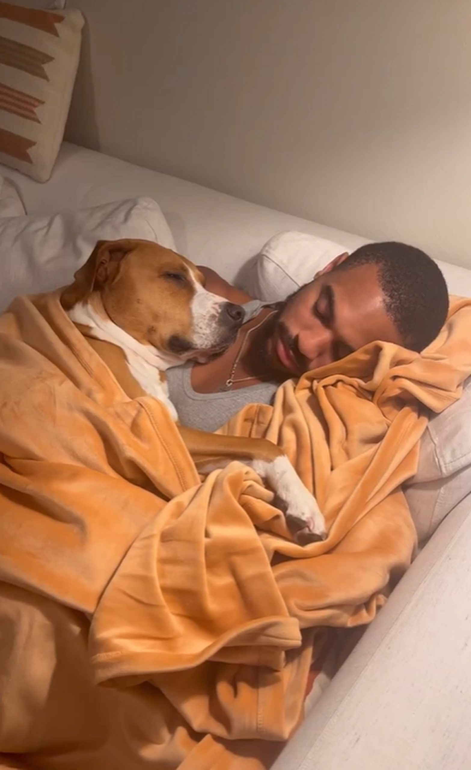 dog and man sleeping covered with a blanket