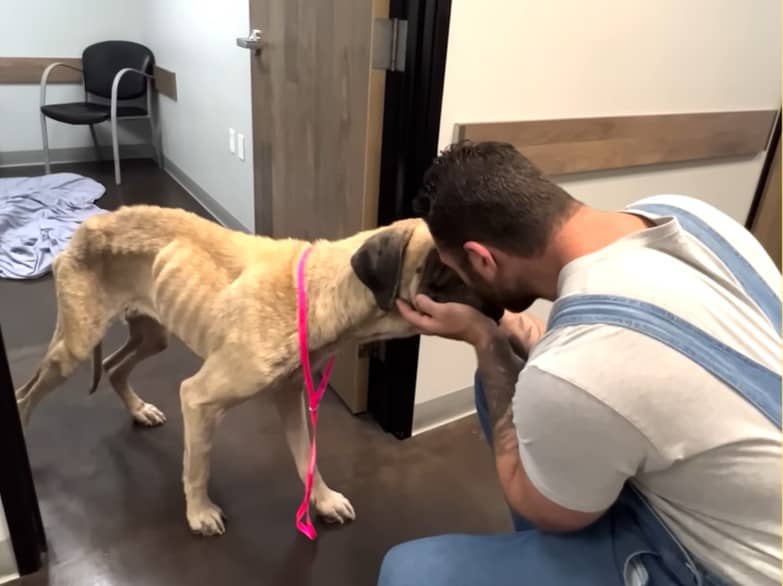 dog and owner hugging