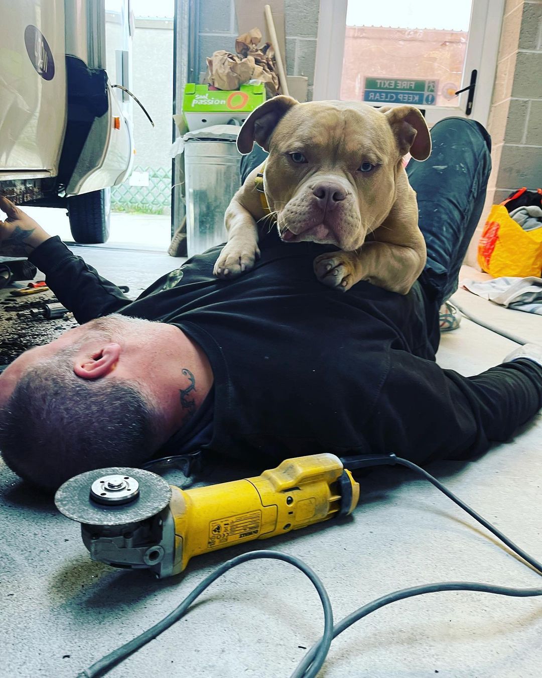 dog and owner laying on the floor