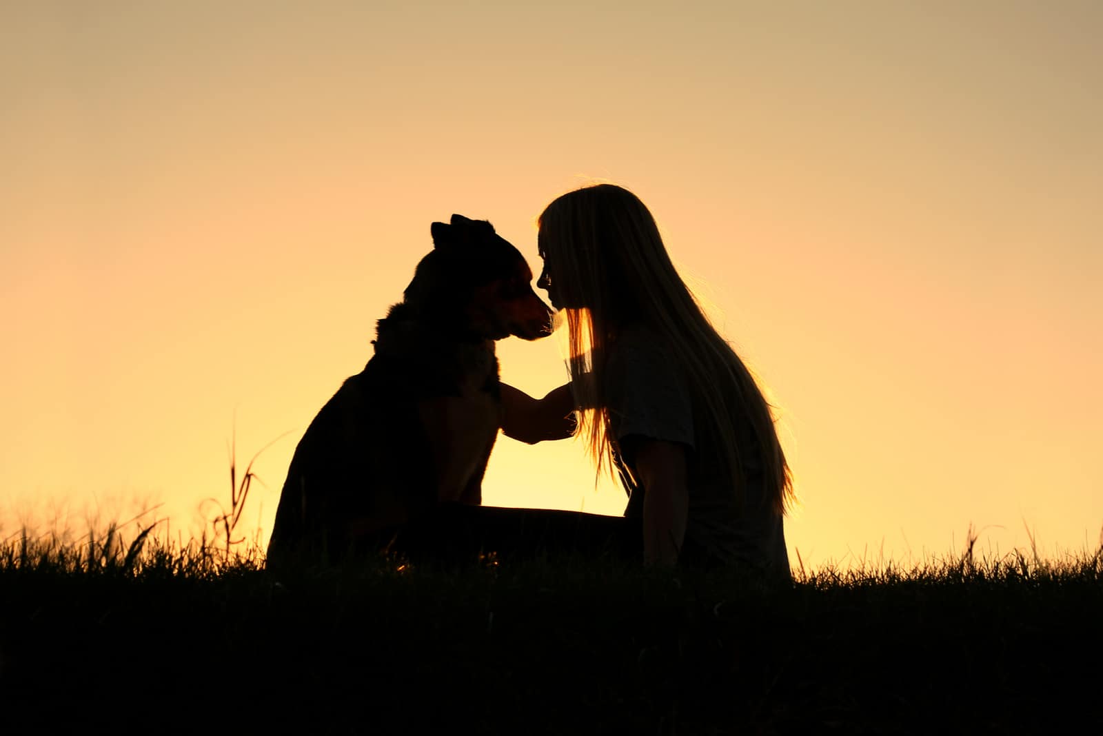 dog and owner outside