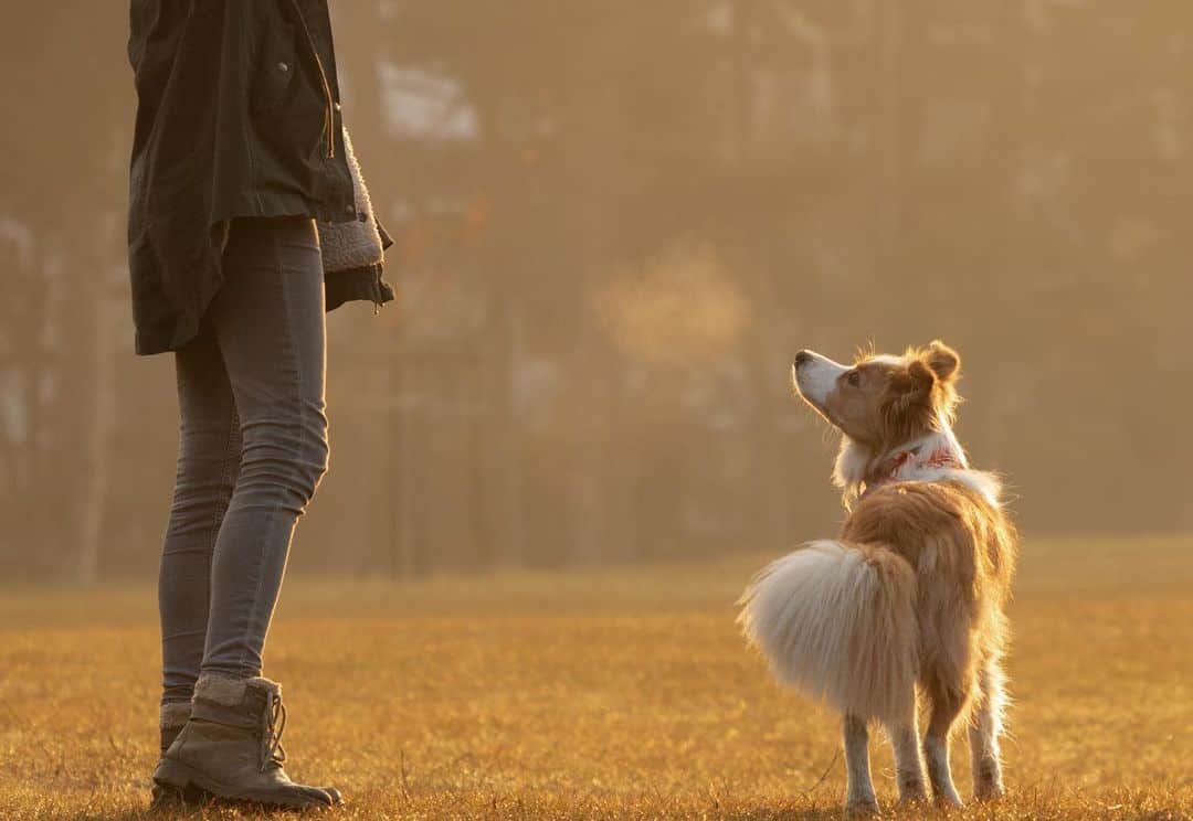 dog and owner standing outside