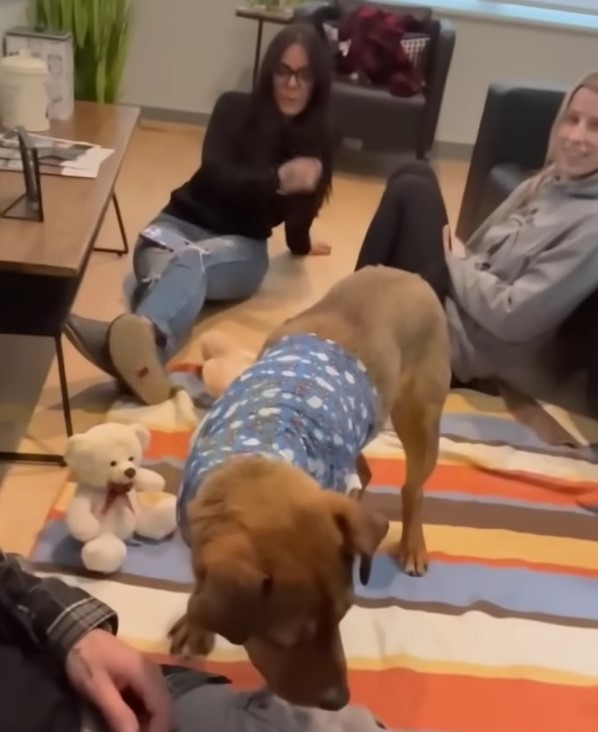 dog and two women sitting in the house