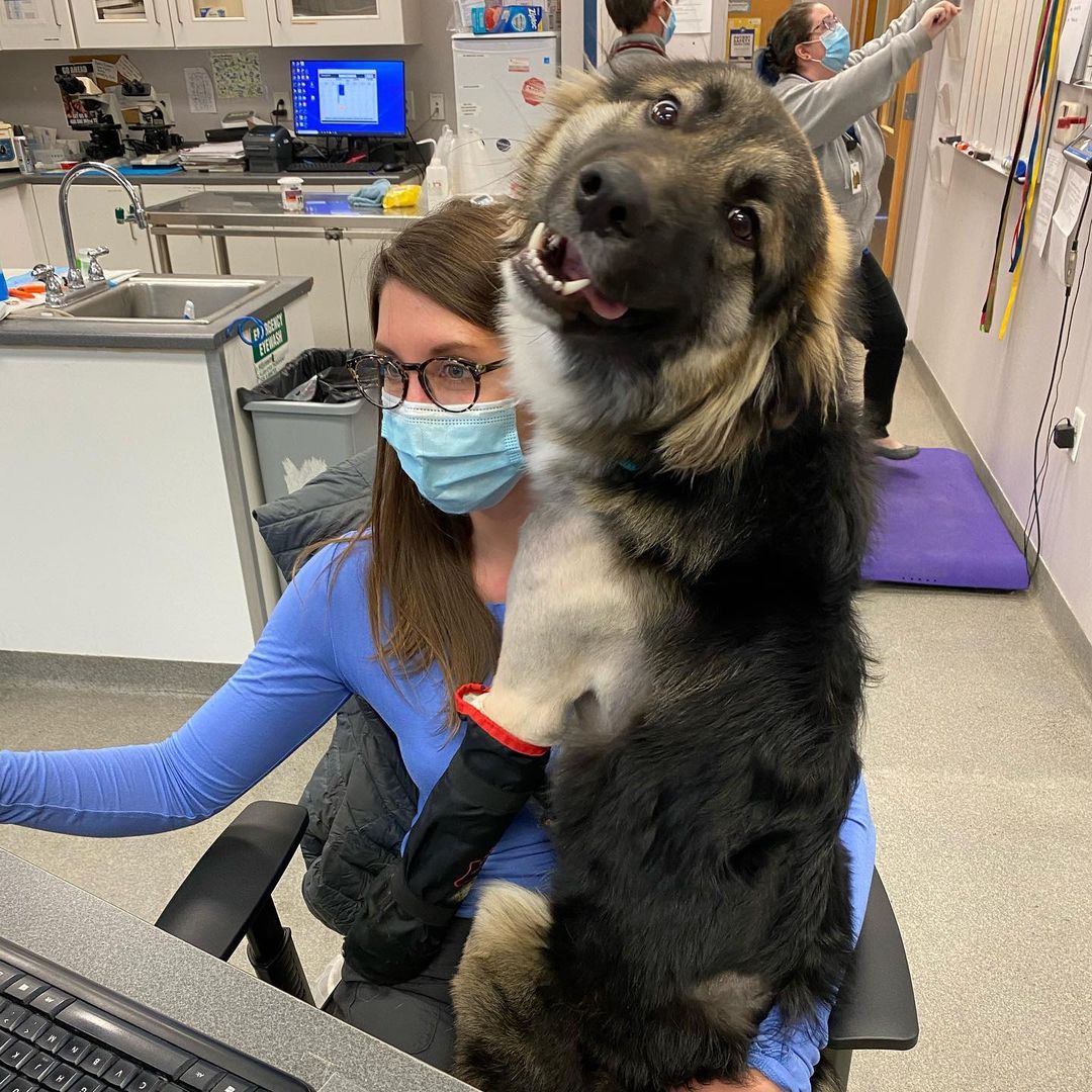 dog and vet sitting together