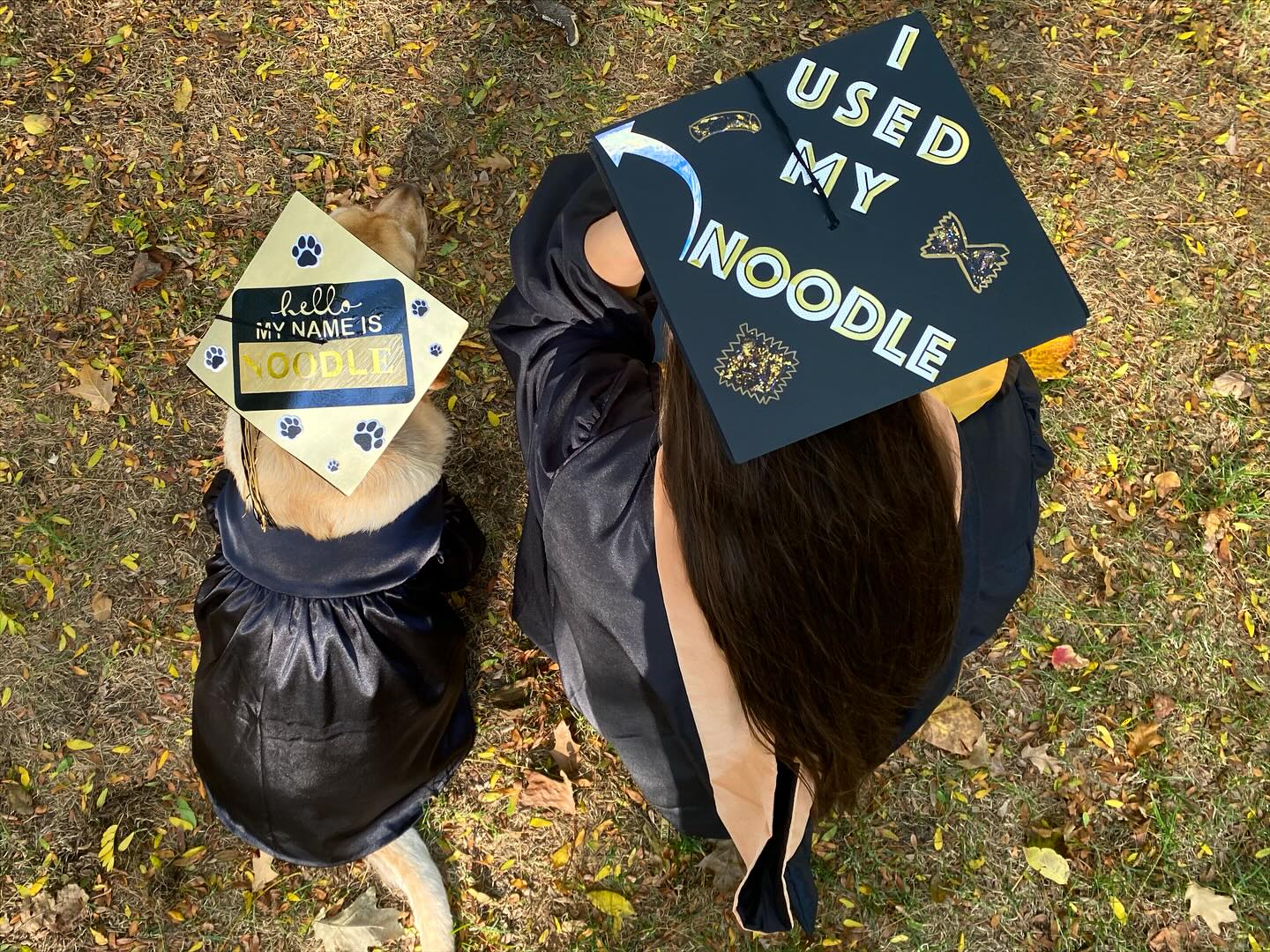 dog and woman with degree hat