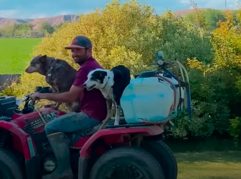 dog bubbles on a quad with a man and a dog