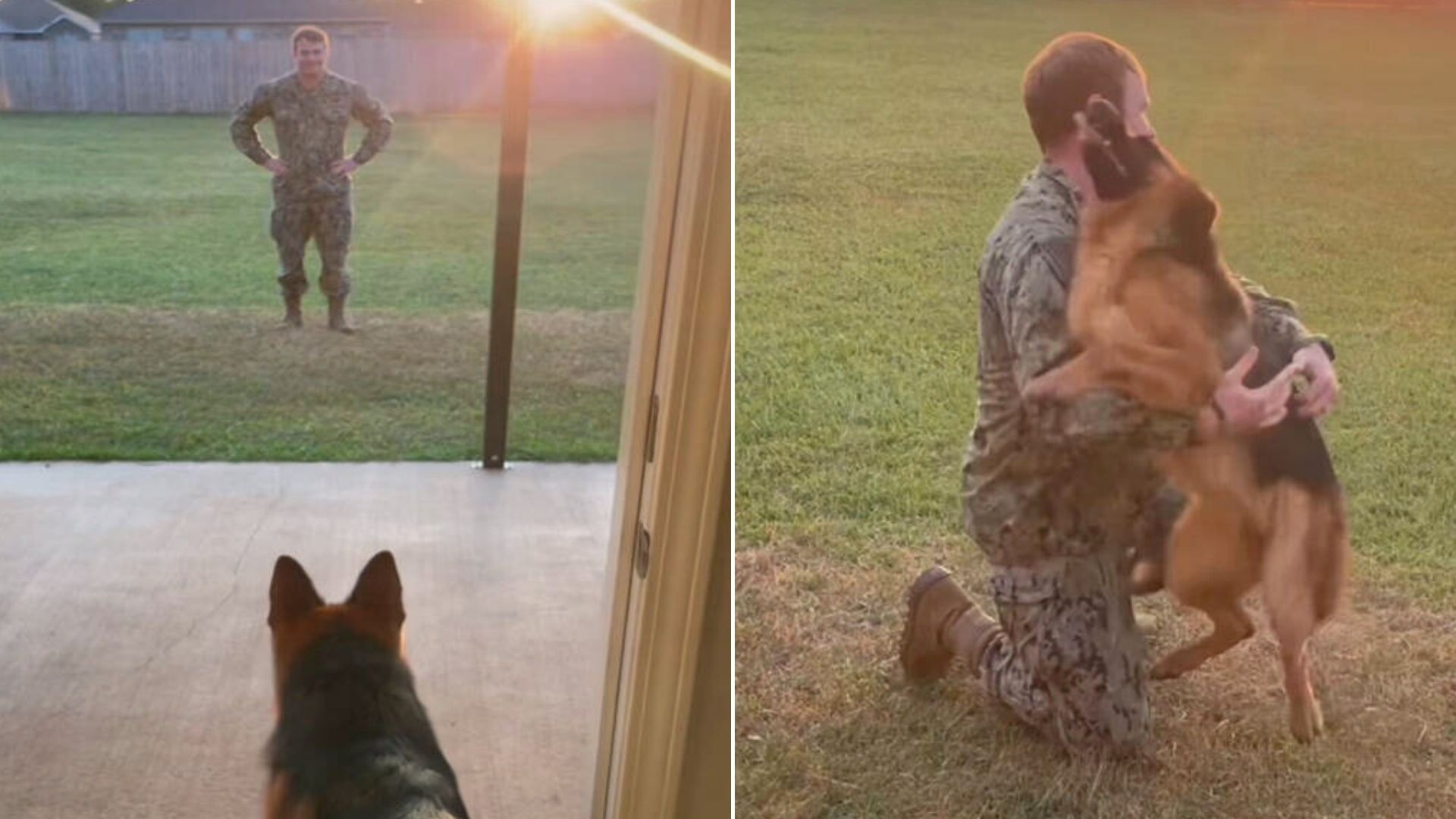 Dog Had To Do A Double Take After Seeing A Familiar Face In Front Of Her Door