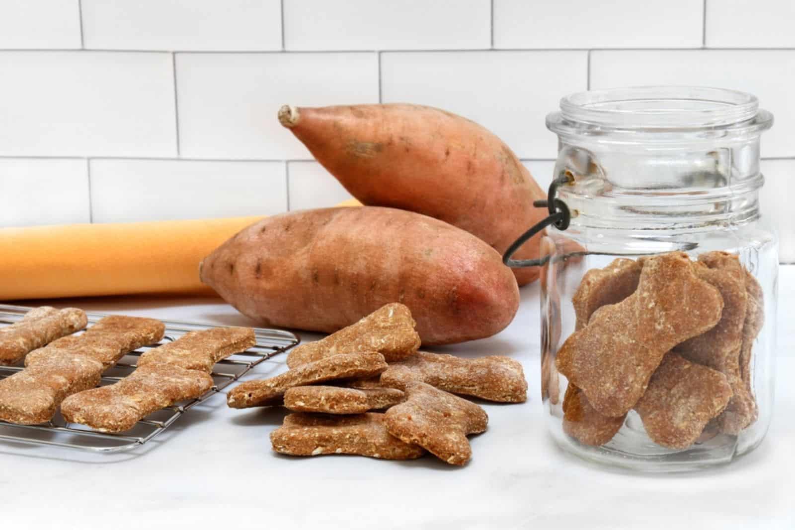 dog cookies made from sweet potatoes