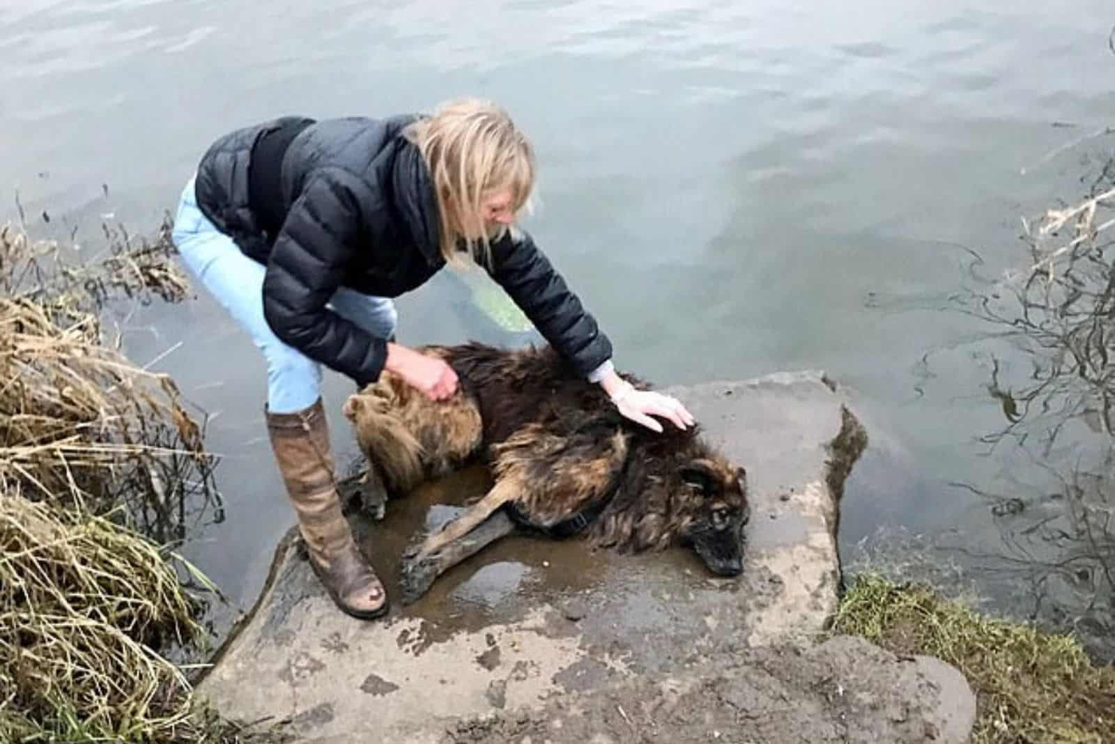 Dog Cruelly Tied To A Rock And Thrown To Drown In The River Finds Loving Home