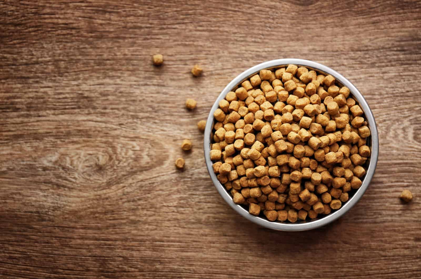 dog food in a bowl on wooden table