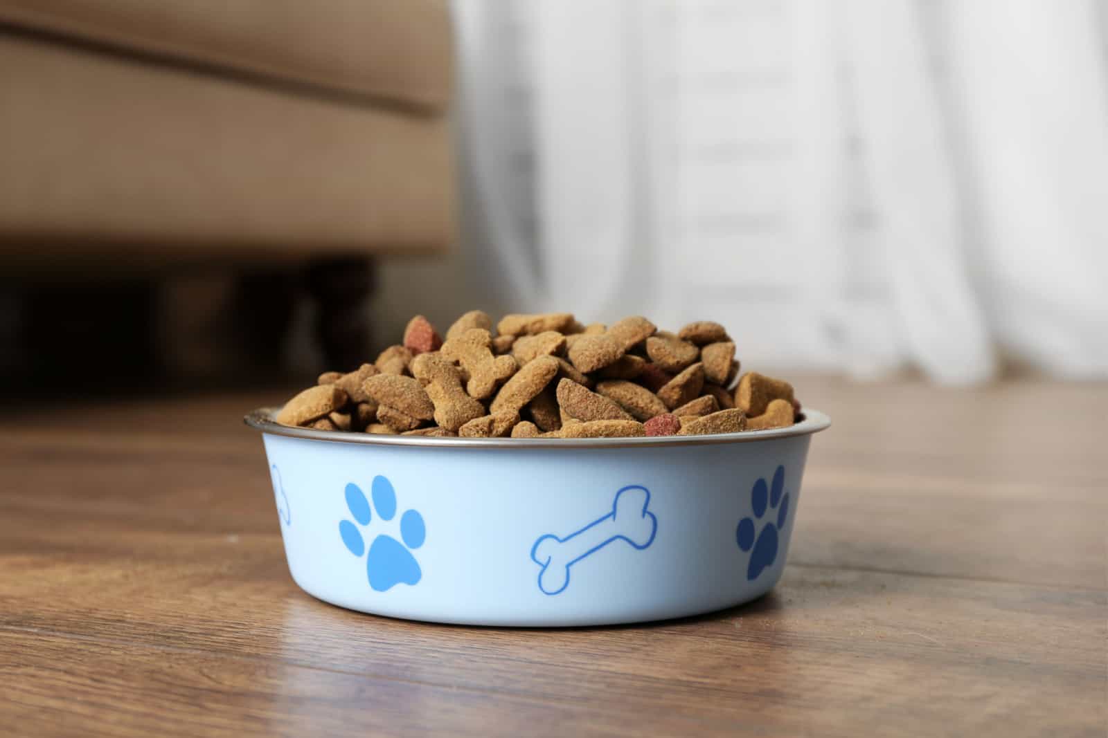 Dog food in bowl on floor at home