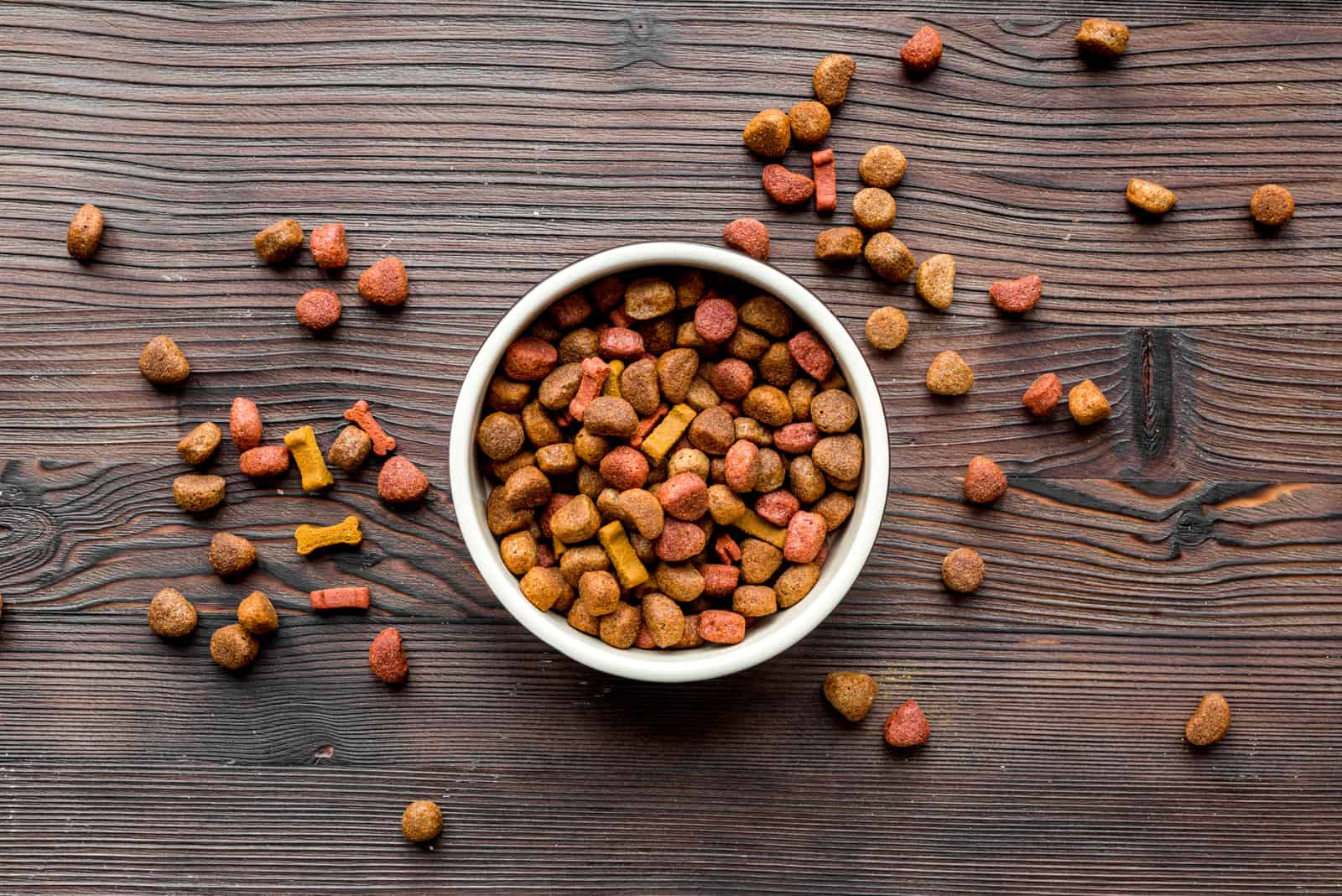 dog food in bowl on table