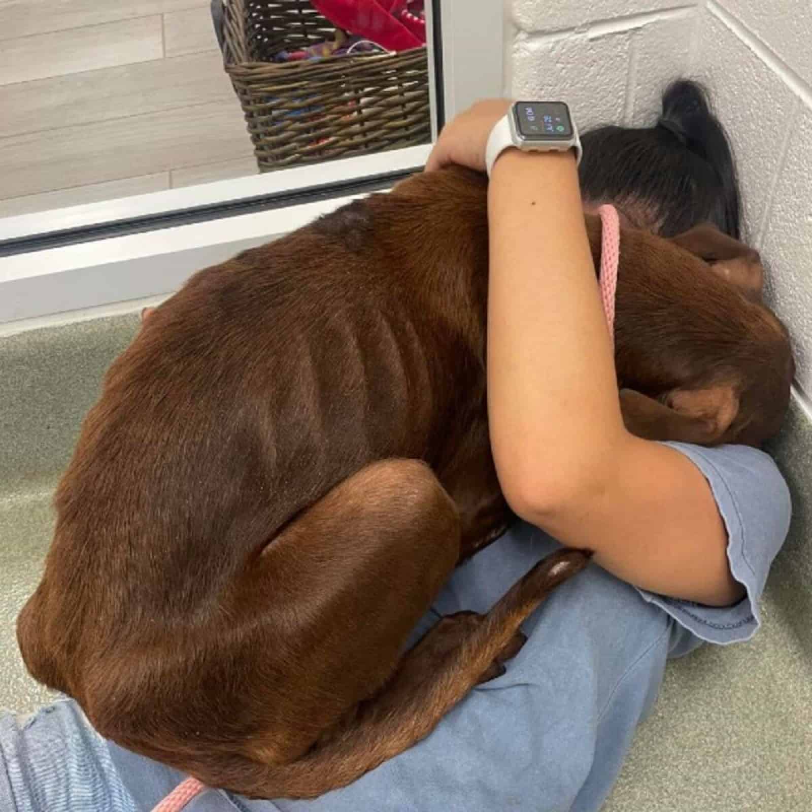 dog hugging a woman that rescue him