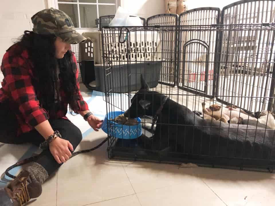 dog in a crate and woman sitting by it