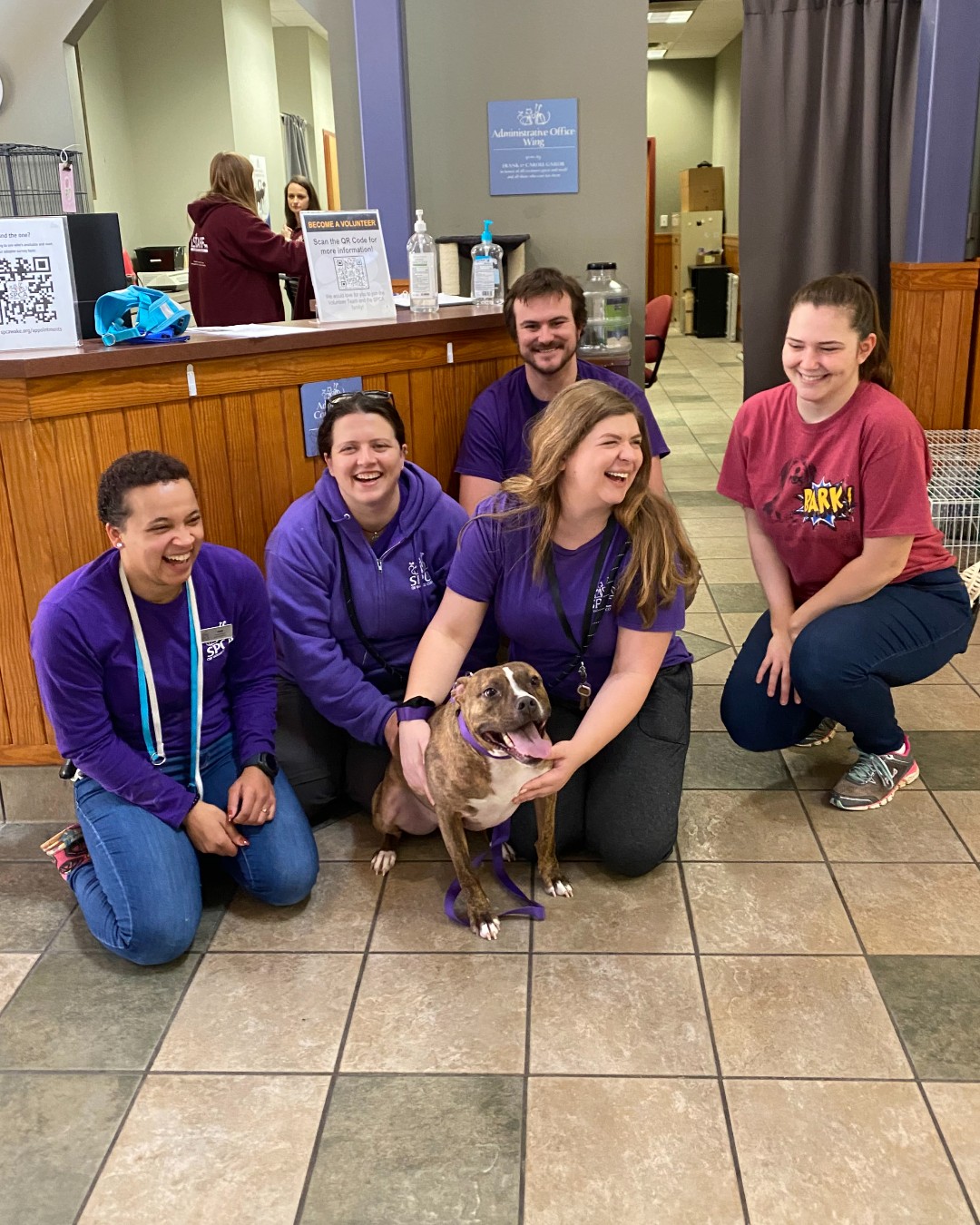 dog in a shelter posing with people