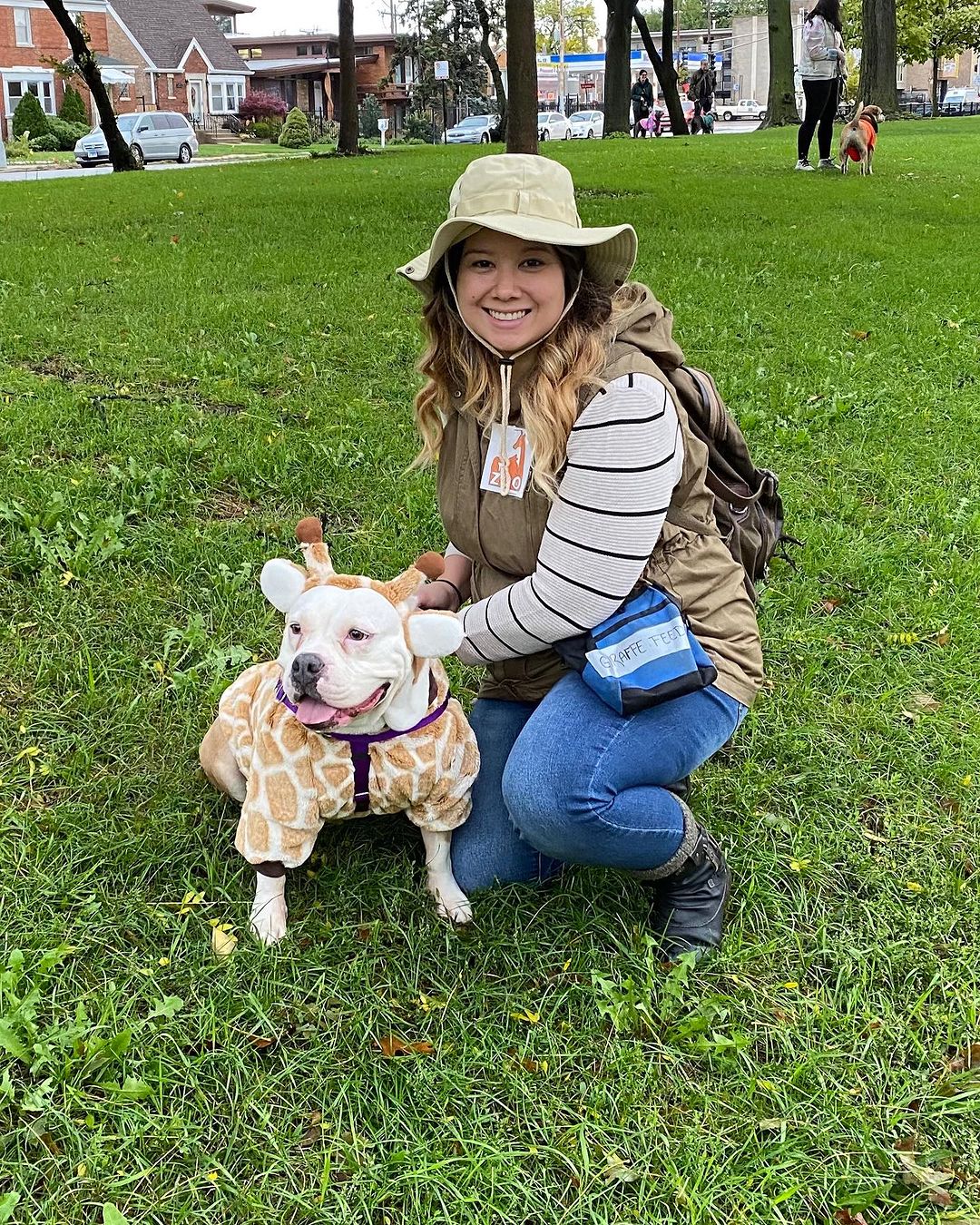 dog in giraffe cosplay