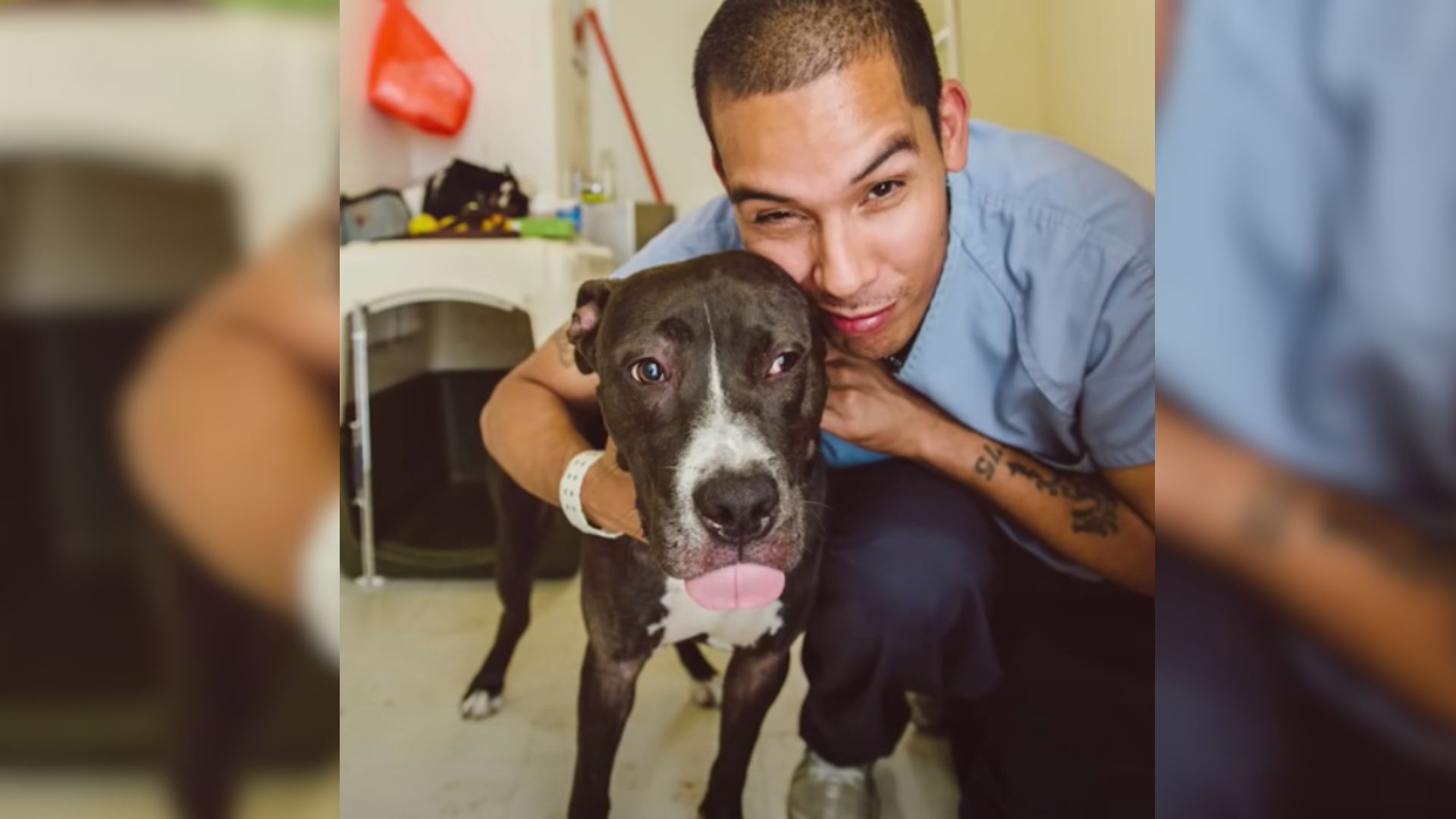 Dog Is So Excited To See His Old Friend, A Prisoner Who Saved His Life 