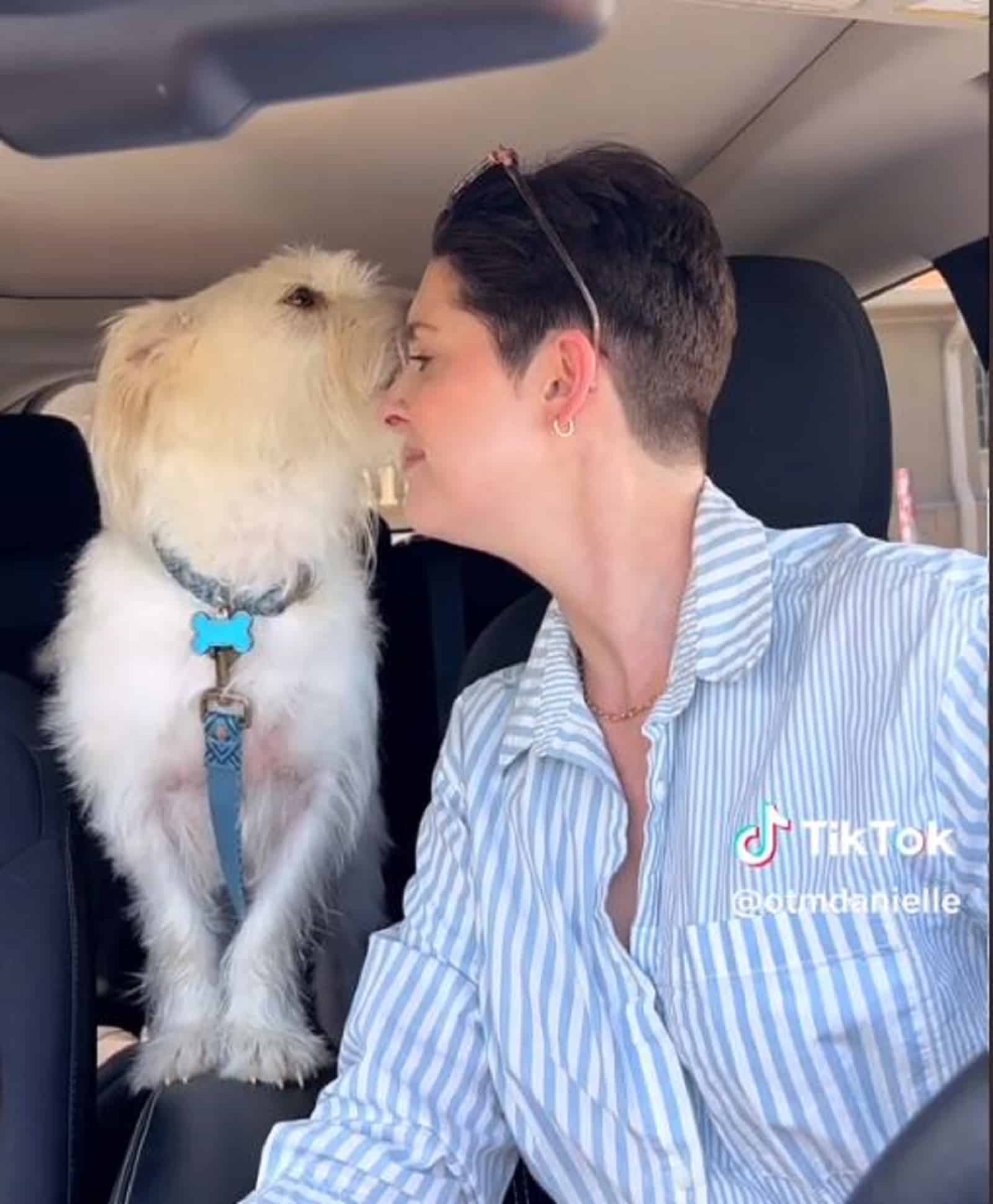 dog kissing his owner in the car