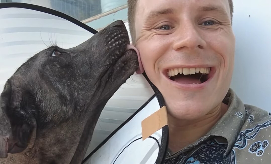 dog licking man's face