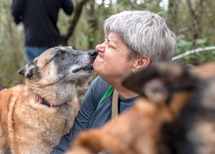 dog licking womans face