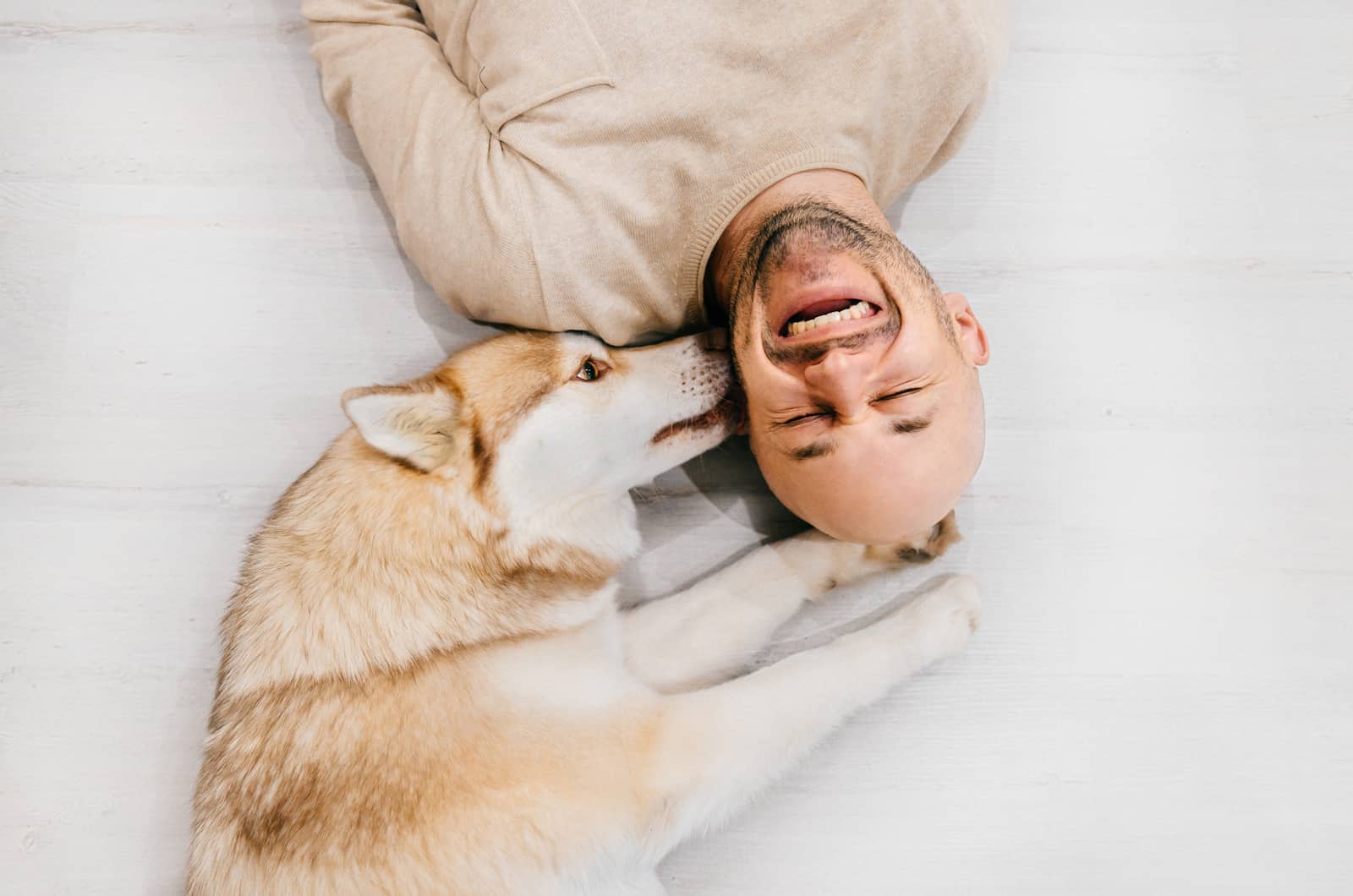 dog licks man's face