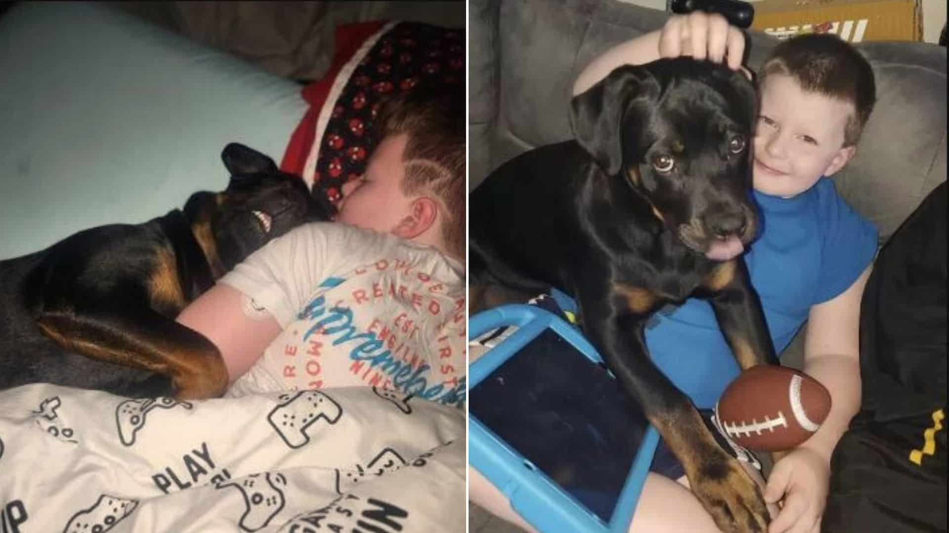 Dog Likes To Sleep With His Human Brother And This Saves His Life