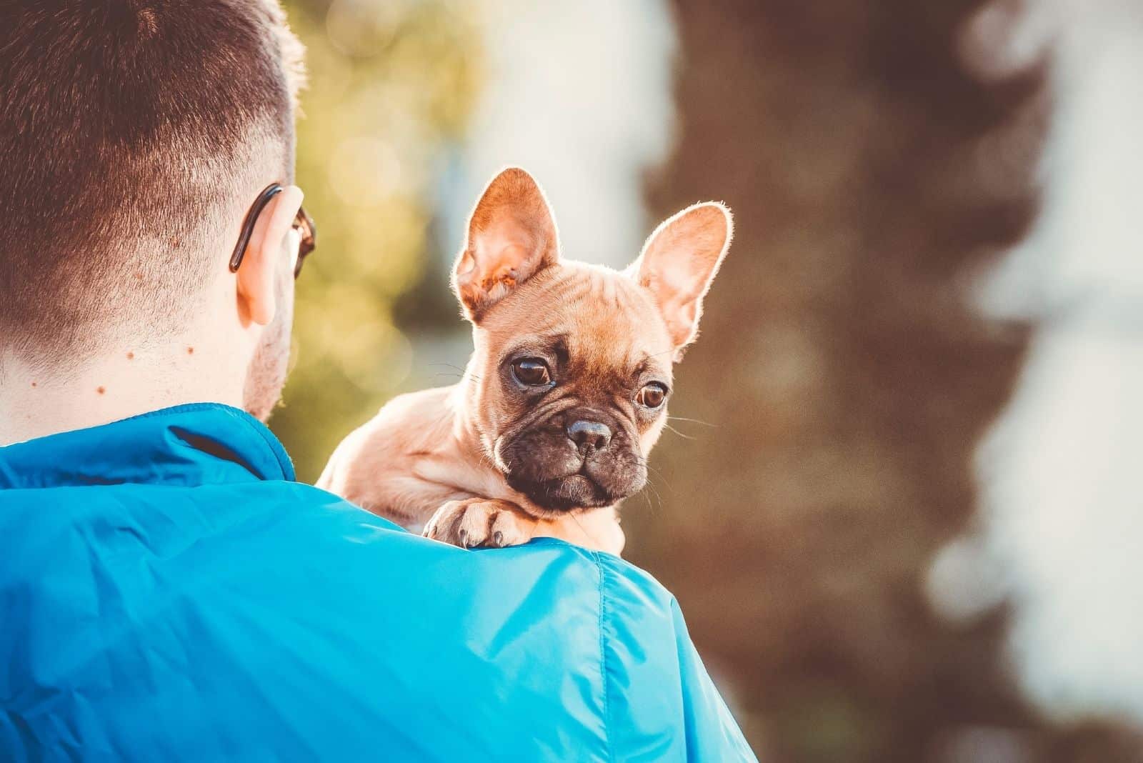 dog looking over the owners shoulder outdoors