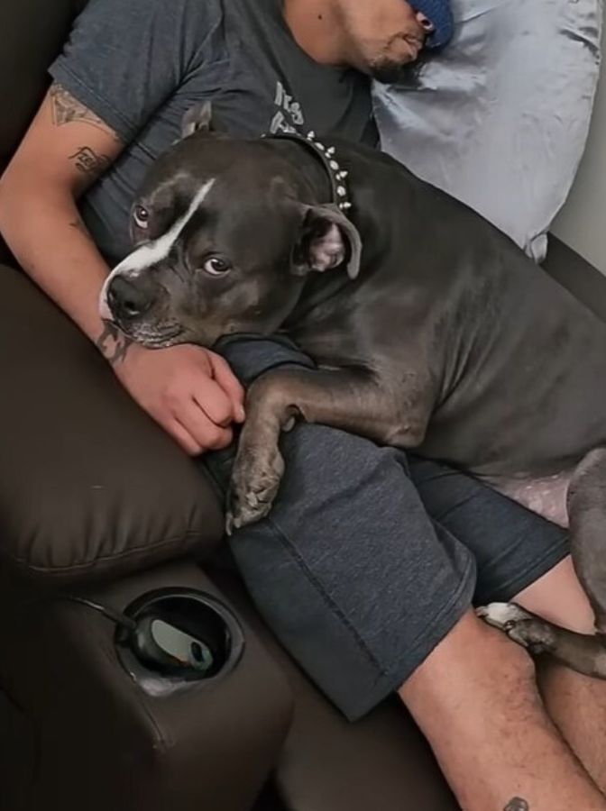 dog lying next to a man