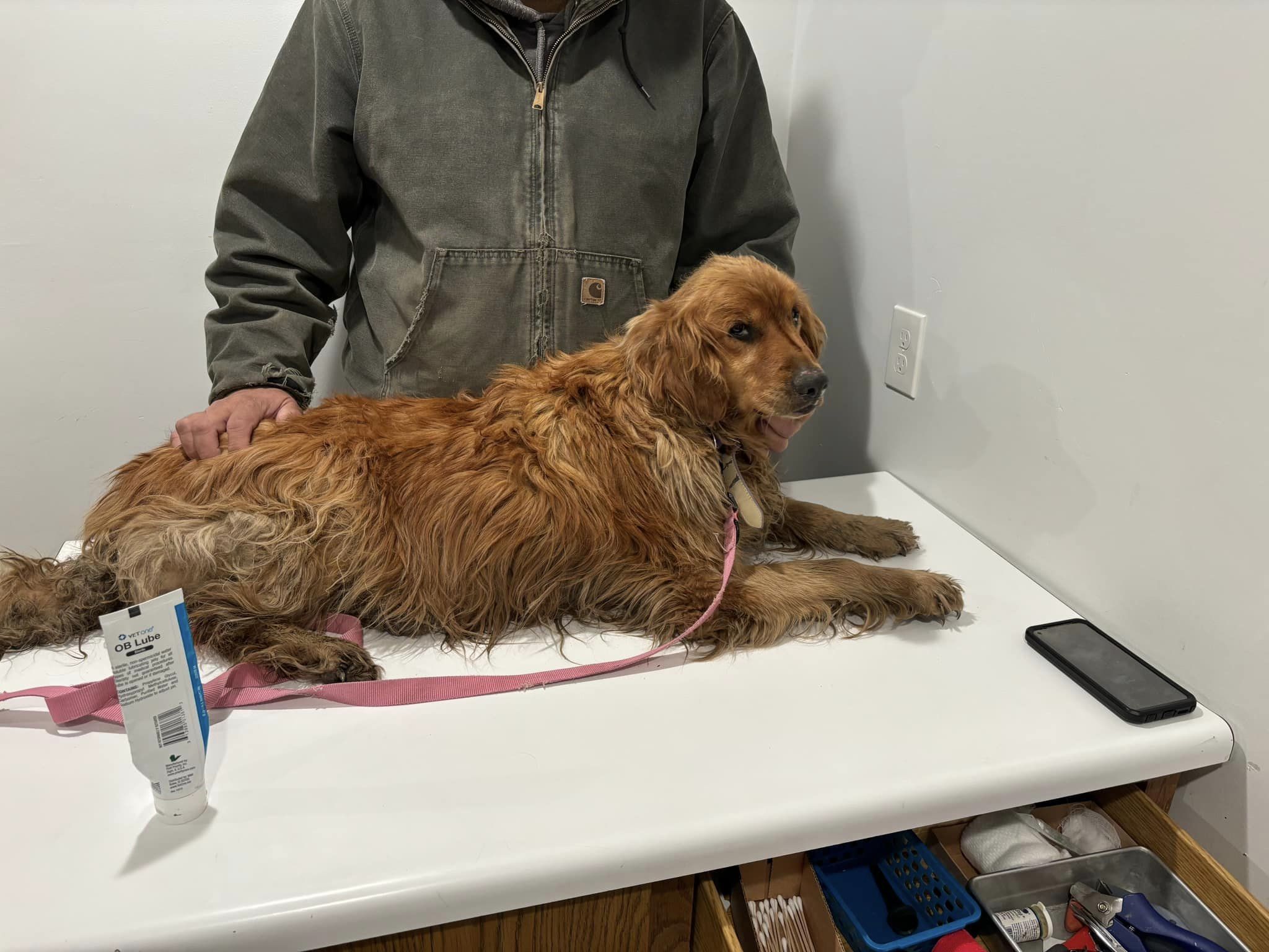 dog lying on table in front of man