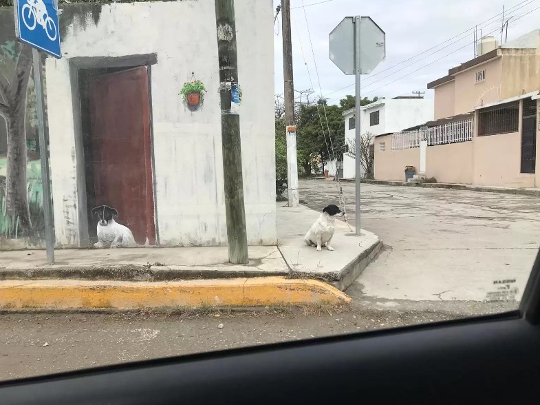 dog on the sidewalk next to a painting of him