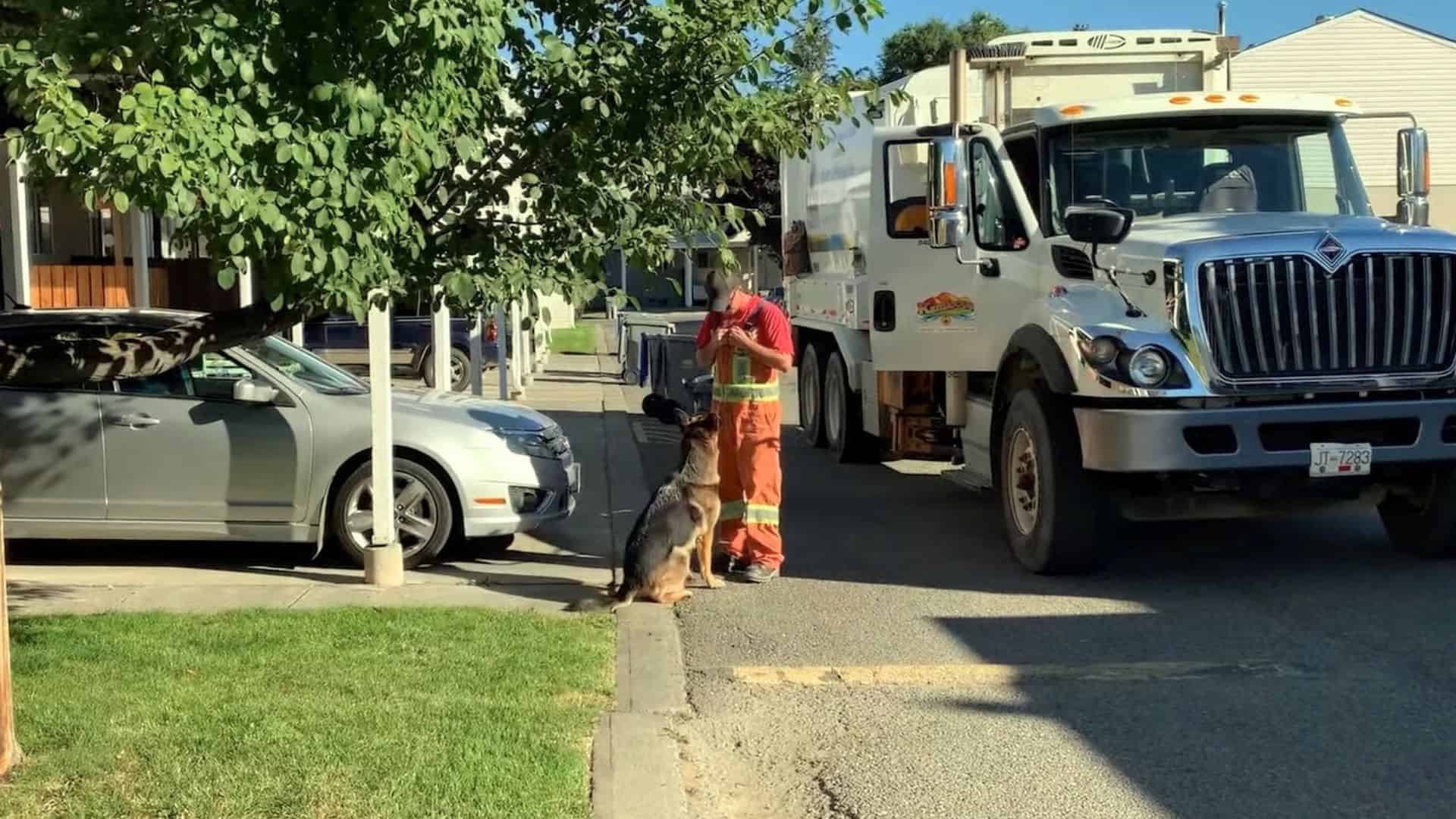 The Ritual Between This Dog And A Garbage Truck Driver Will Warm Your Heart