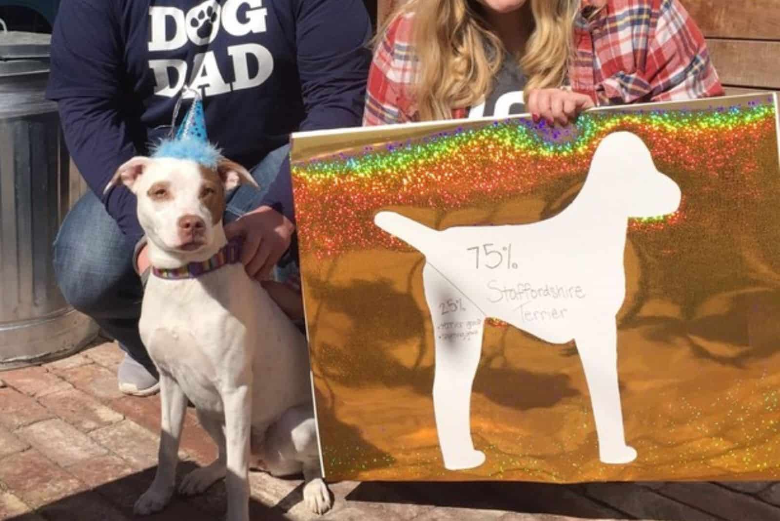 dog posing beside a painting of him showing his DNA