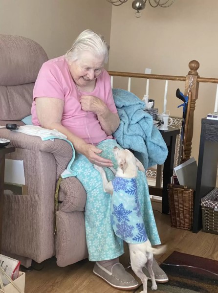 dog reaching up to the woman in chair