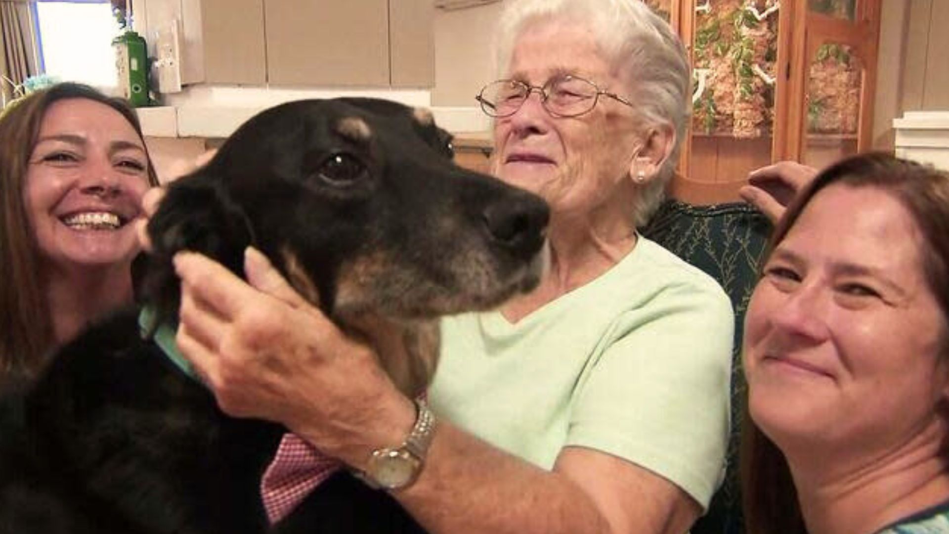 Dog Keept Breaking Out Of Shelter And Running To A Nursing Home To Hang Out With Its Residents