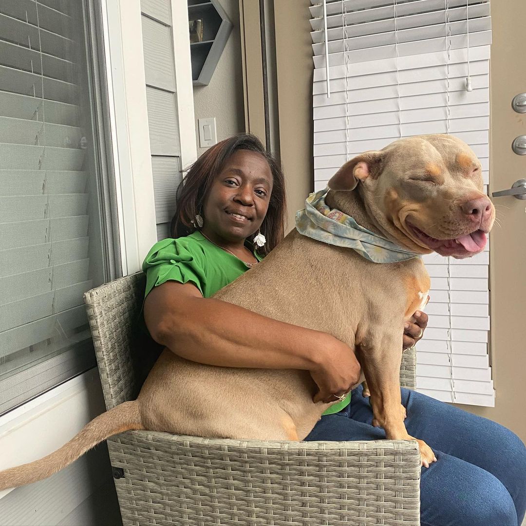 dog sitting in grandma's lap