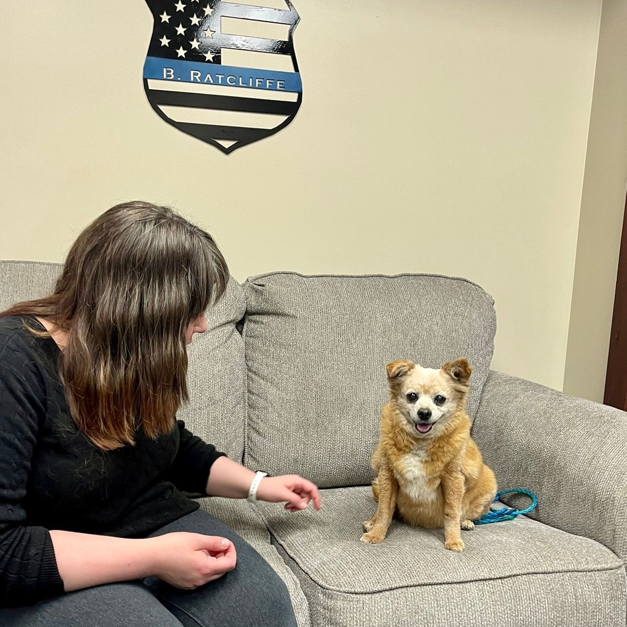 dog sitting on the couch with a woman