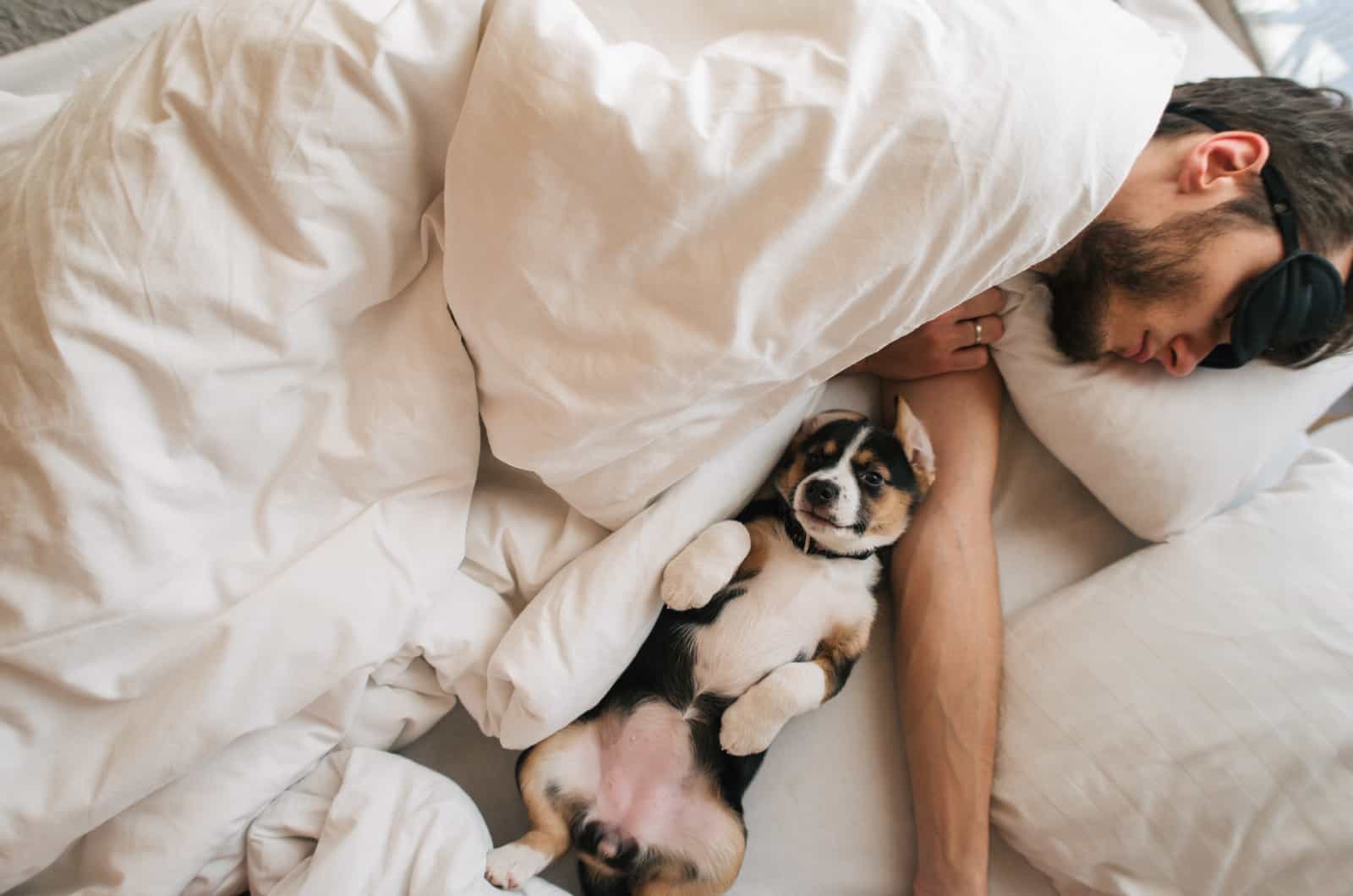 dog sleeping next to owner