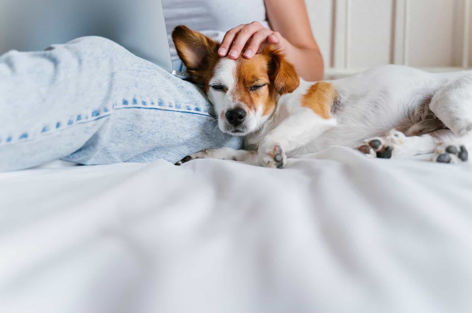 dog sleeping next to woman